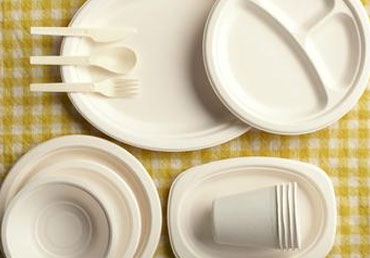 Paper plates/plastic spoons